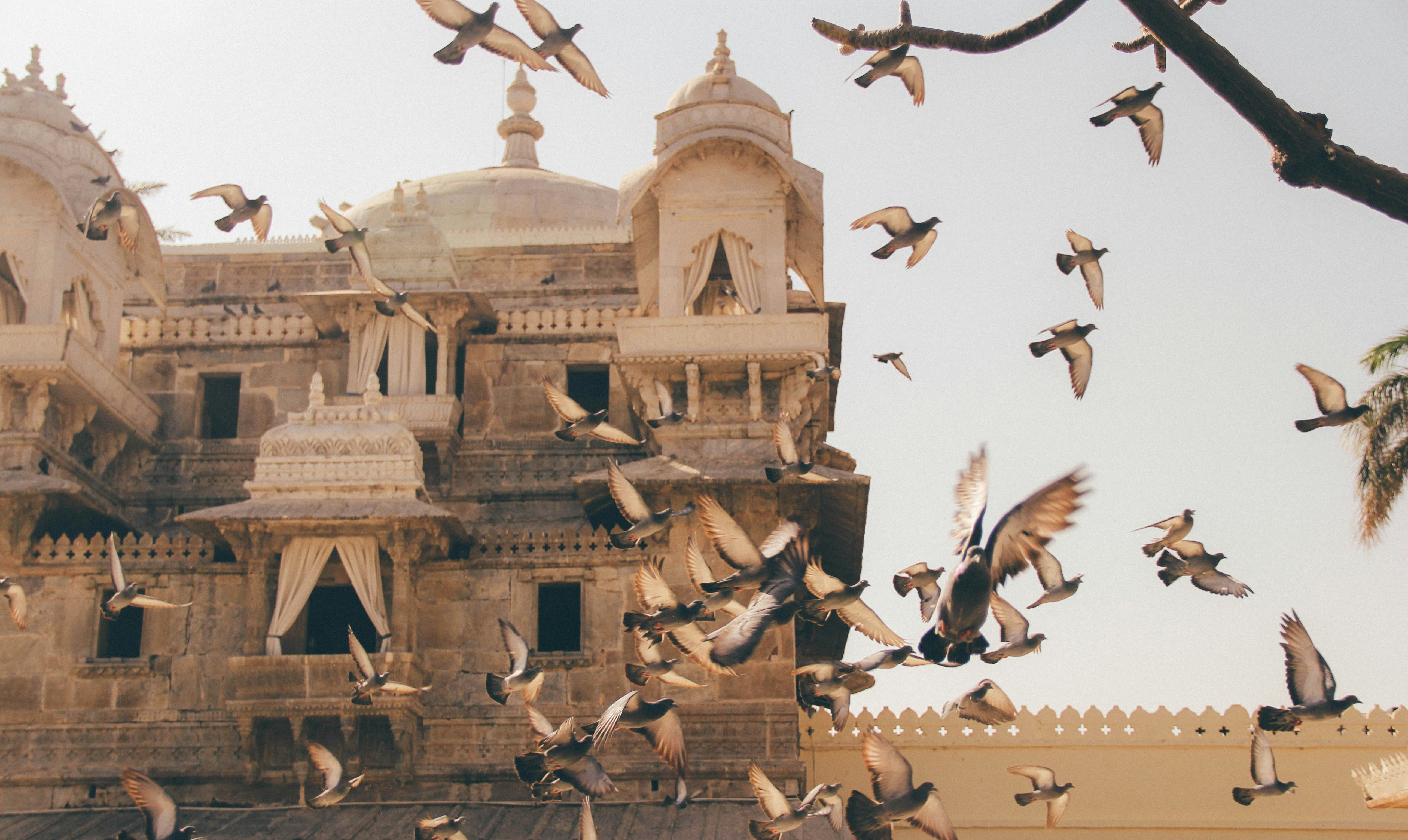 study_abroad_pg